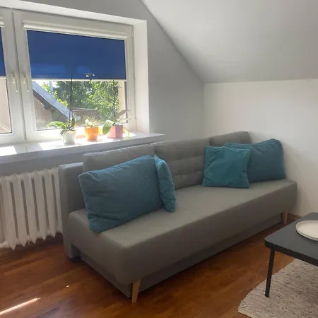 Aleda * שצ'צ'ין